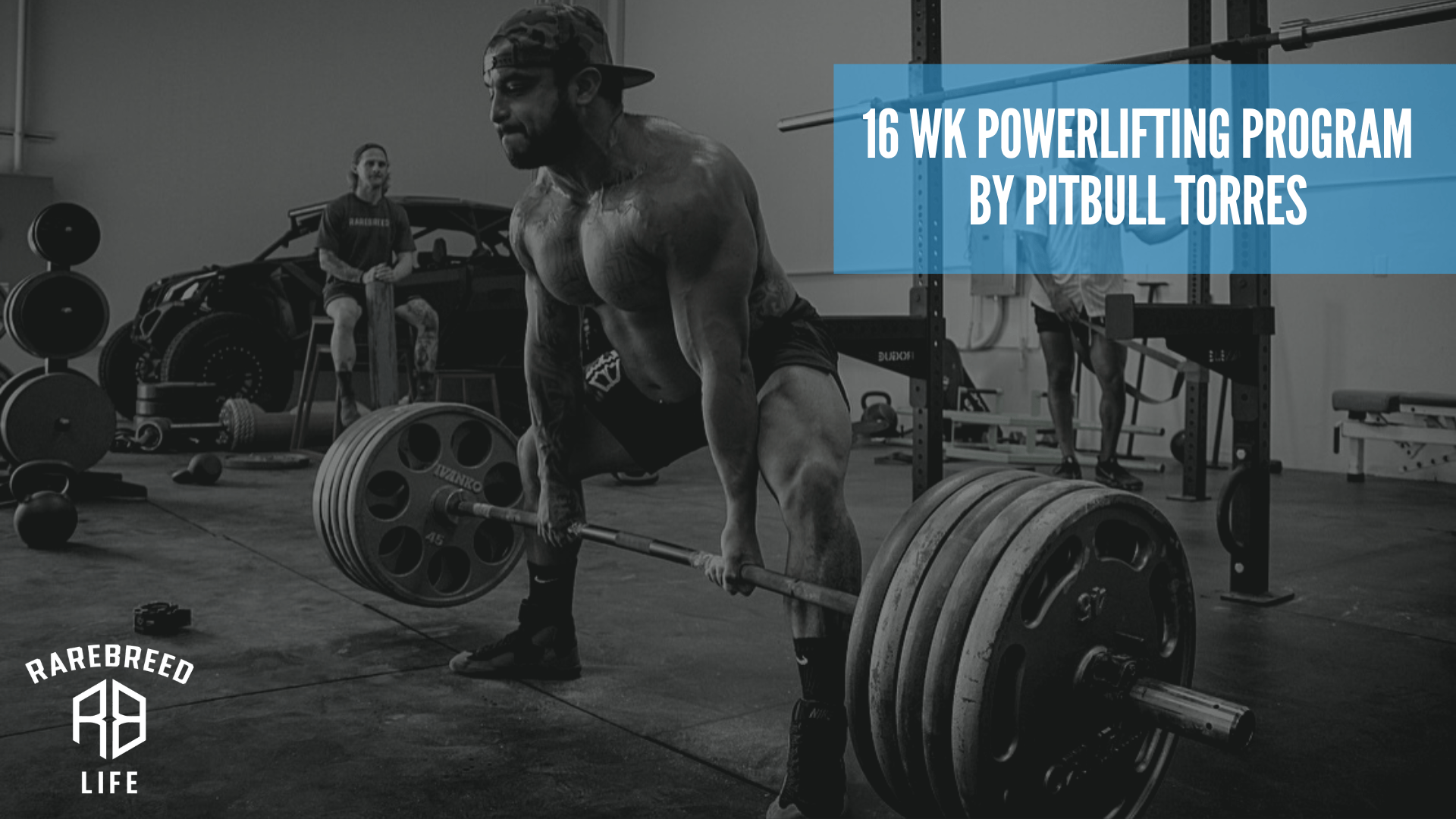 16 Week Powerlifting Program – RBL by PBT